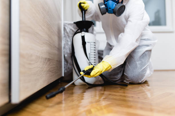 Best Pest Removal Services  in Algonac, MI