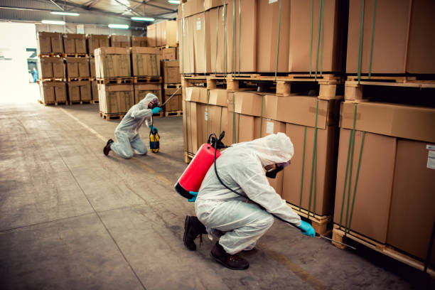 Best Ant Control Services  in Algonac, MI