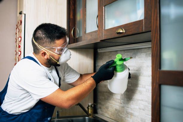 Best Pest Control Near Me  in Algonac, MI