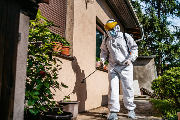 Best Ant Control Services  in Algonac, MI