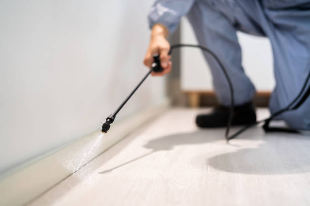 Best Flea Control Services  in Algonac, MI
