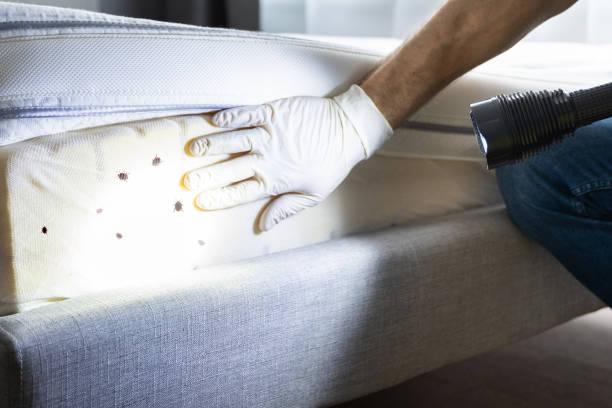 Best Best Pest Control Companies  in Algonac, MI