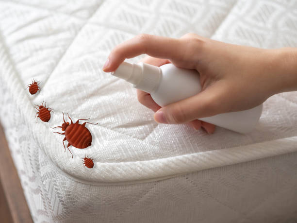 Best Emergency Pest Control  in Algonac, MI