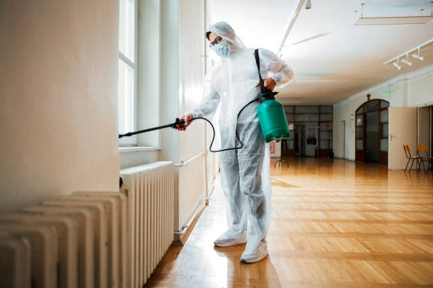 Wasp Removal Services in Algonac, MI