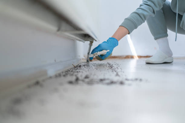 Best Residential Pest Control  in Algonac, MI